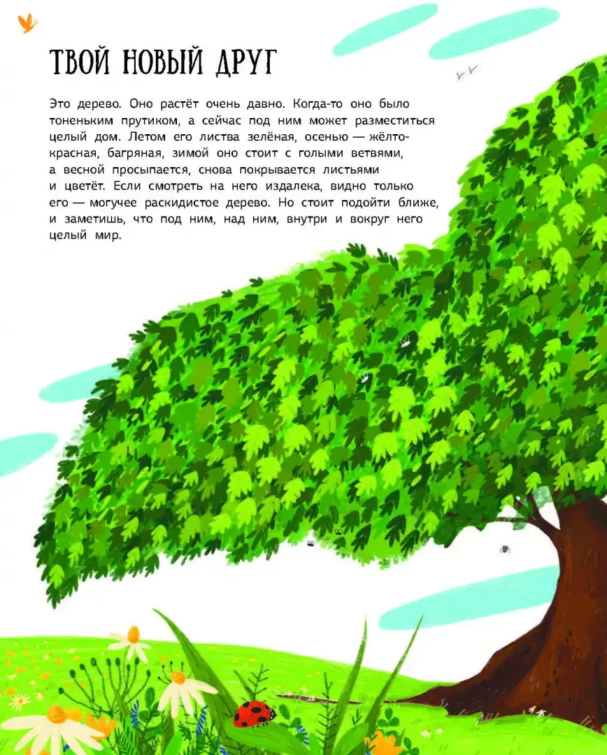 Как зовут твое дерево? фото книги 2