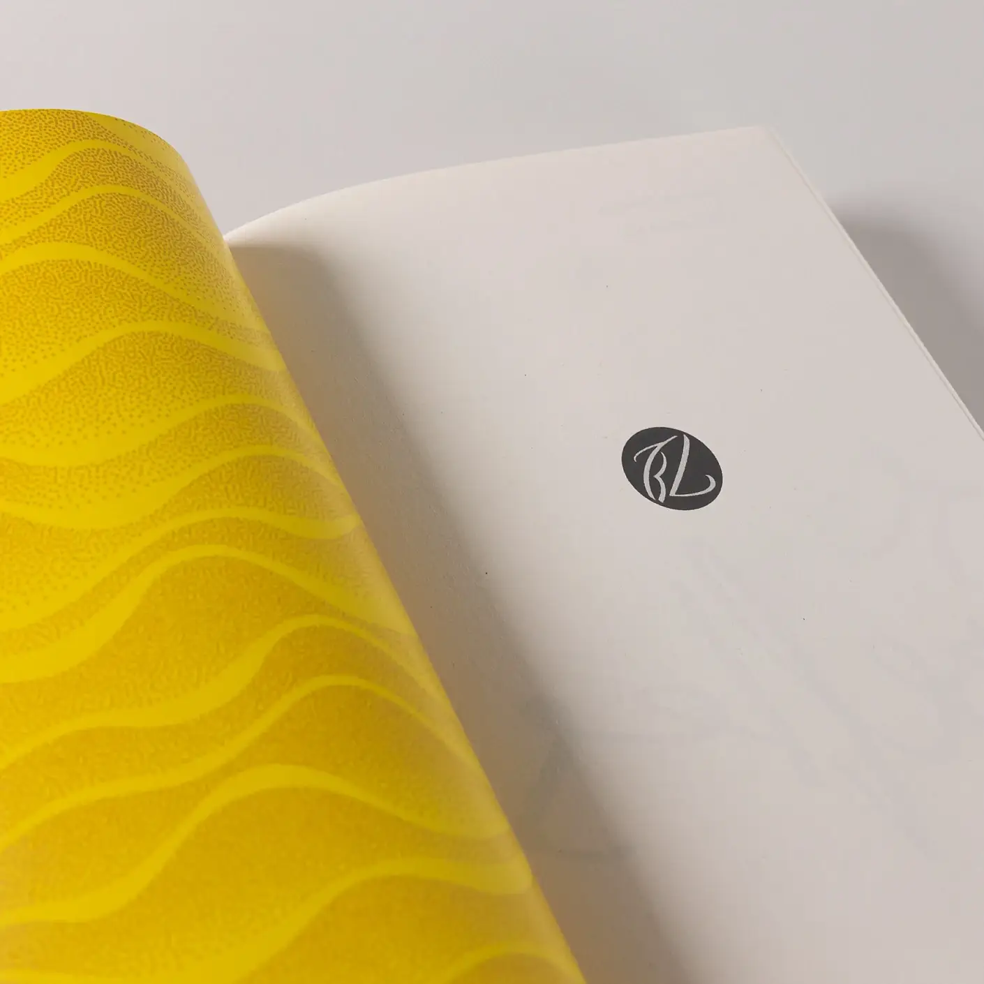 Океан на двоих фото книги 5