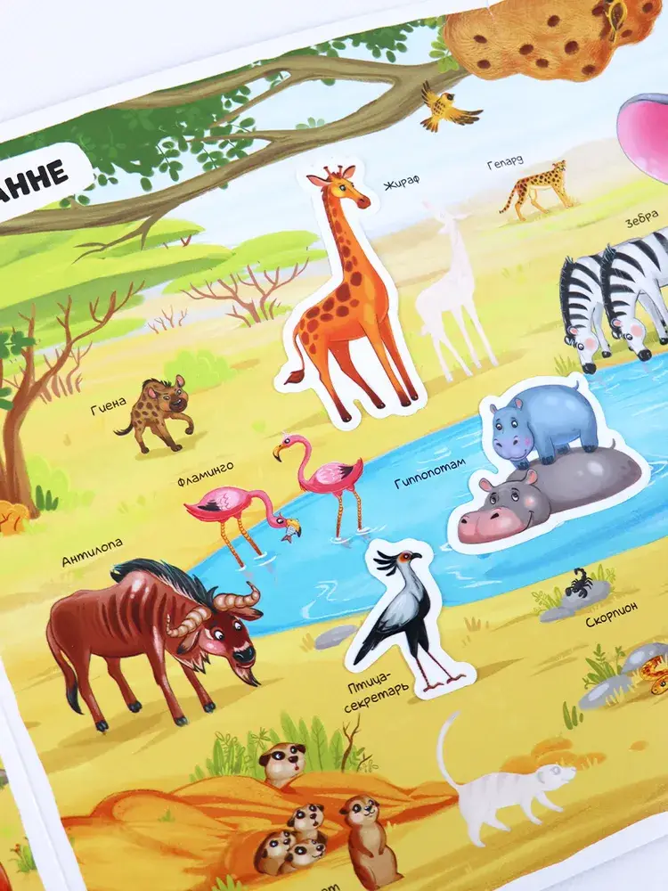 Многоразовые наклейки. Животные фото книги 2