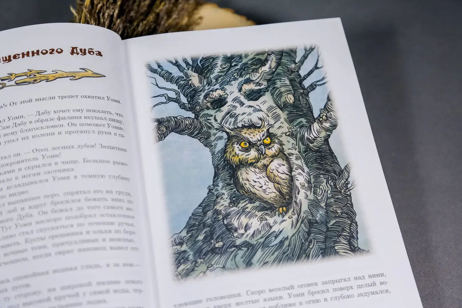 Поселок на озере фото книги 3