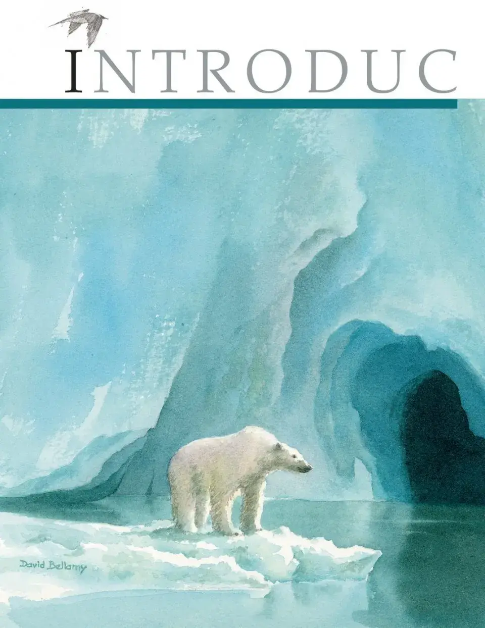 David Bellamy`s Arctic Light фото книги 4