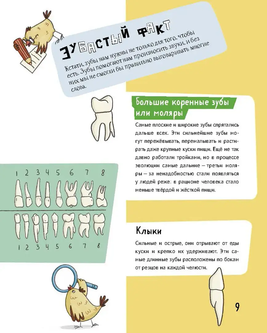 Зубастая энциклопедия фото книги 3