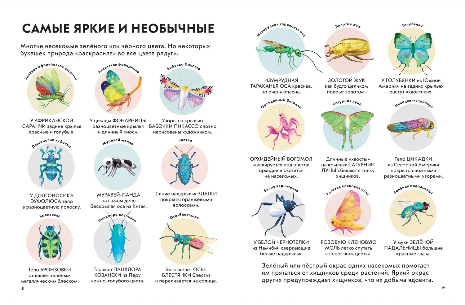 Детская энциклопедия насекомых фото книги 3