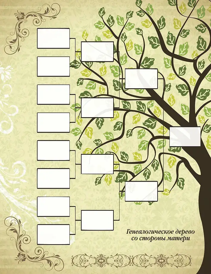 История моей семьи фото книги 5