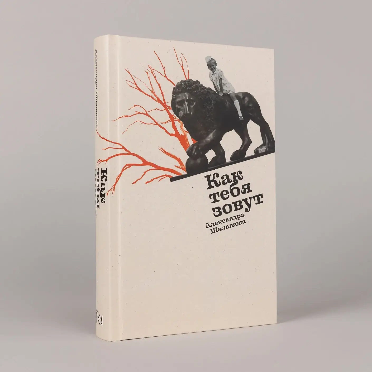 Как тебя зовут фото книги 2