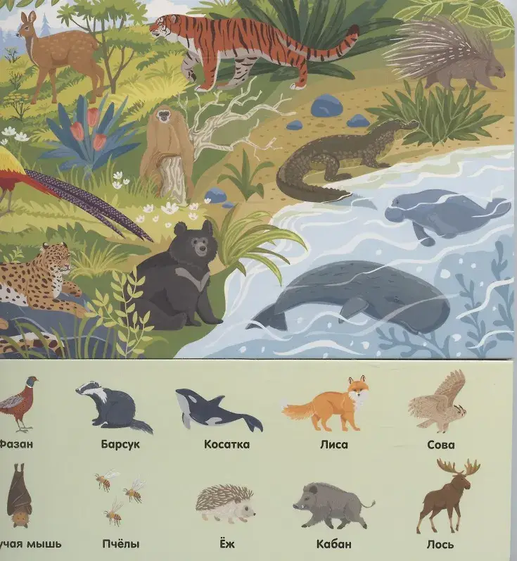 В зоопарке фото книги 3