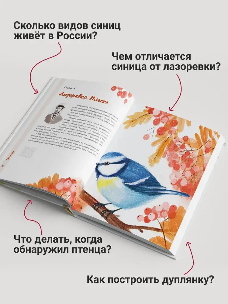 Синицы фото книги 5