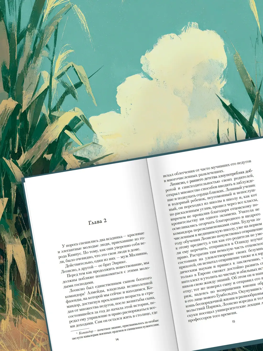 Рабыня Изаура фото книги 3