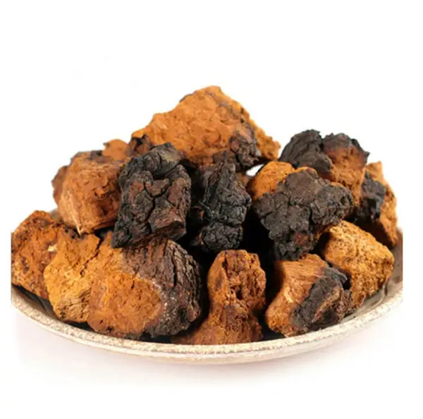 Birch Chaga Kombucha Mushroom 1000 g — Natural Loose Pieces (Paper Bag)