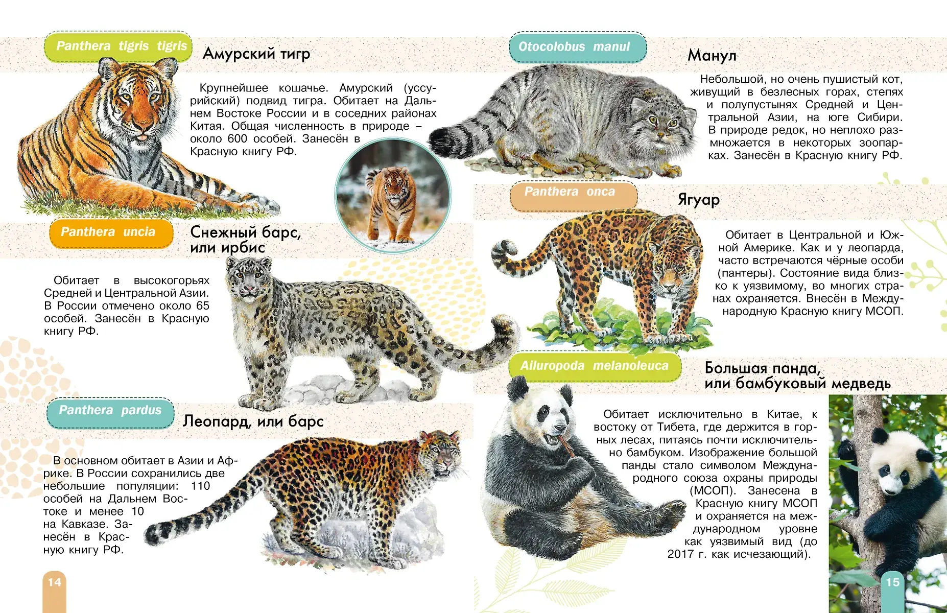 Красная книга. Активити фото книги 4