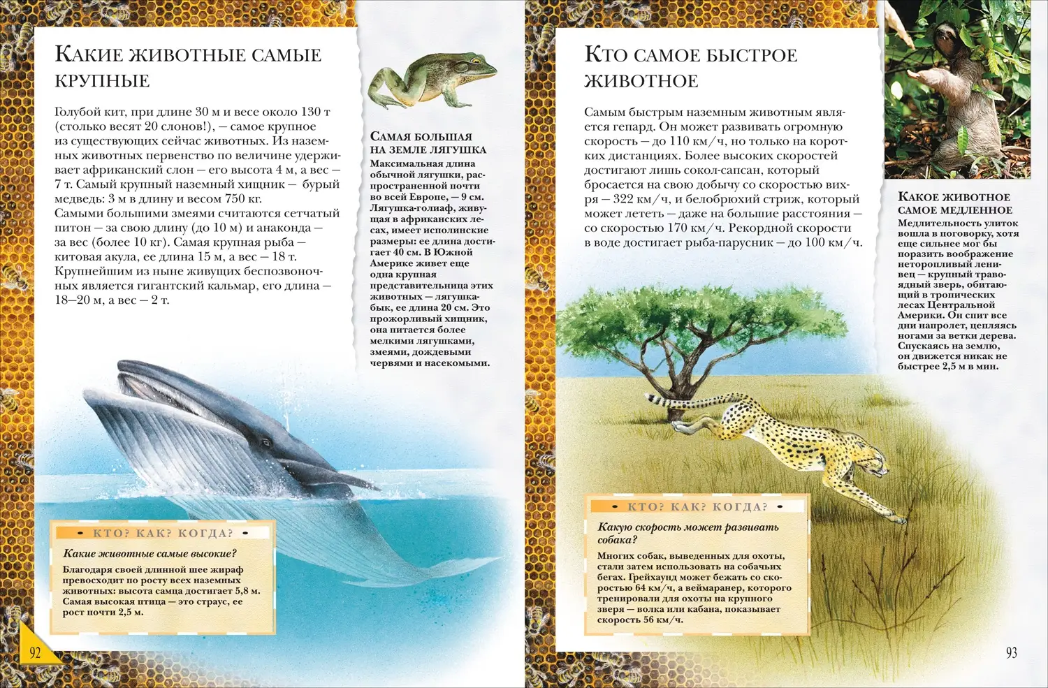 Большая энциклопедия школьника. Книга вопросов и ответов фото книги 3