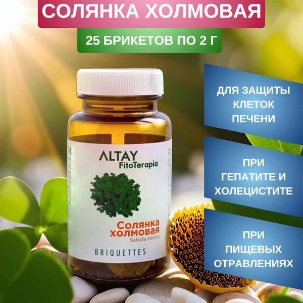 Holm Saltwort (Kali tragus) Liver Support: 25 x 2g Briquettes