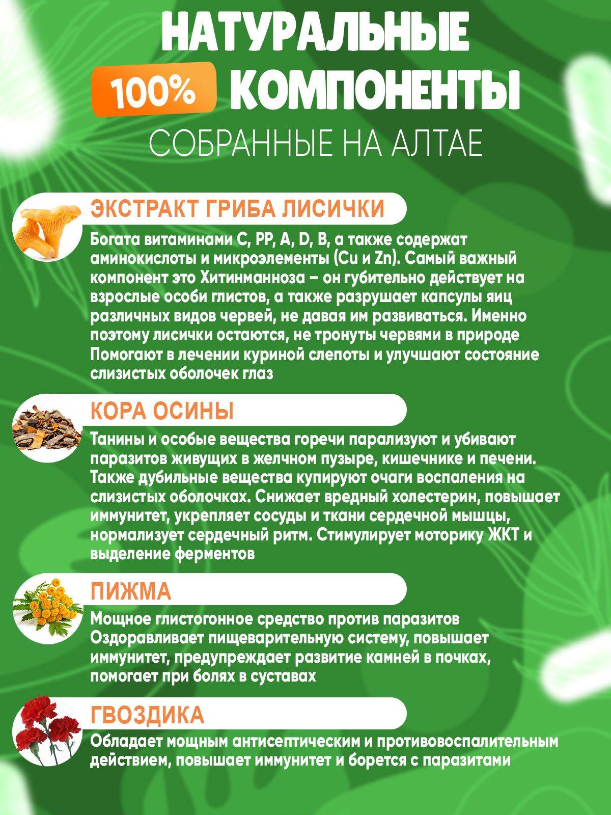 Eco Energy food Anti-parasite Complex with Chaga, Birch Bark, Valerian & Clove — 60 capsules #3