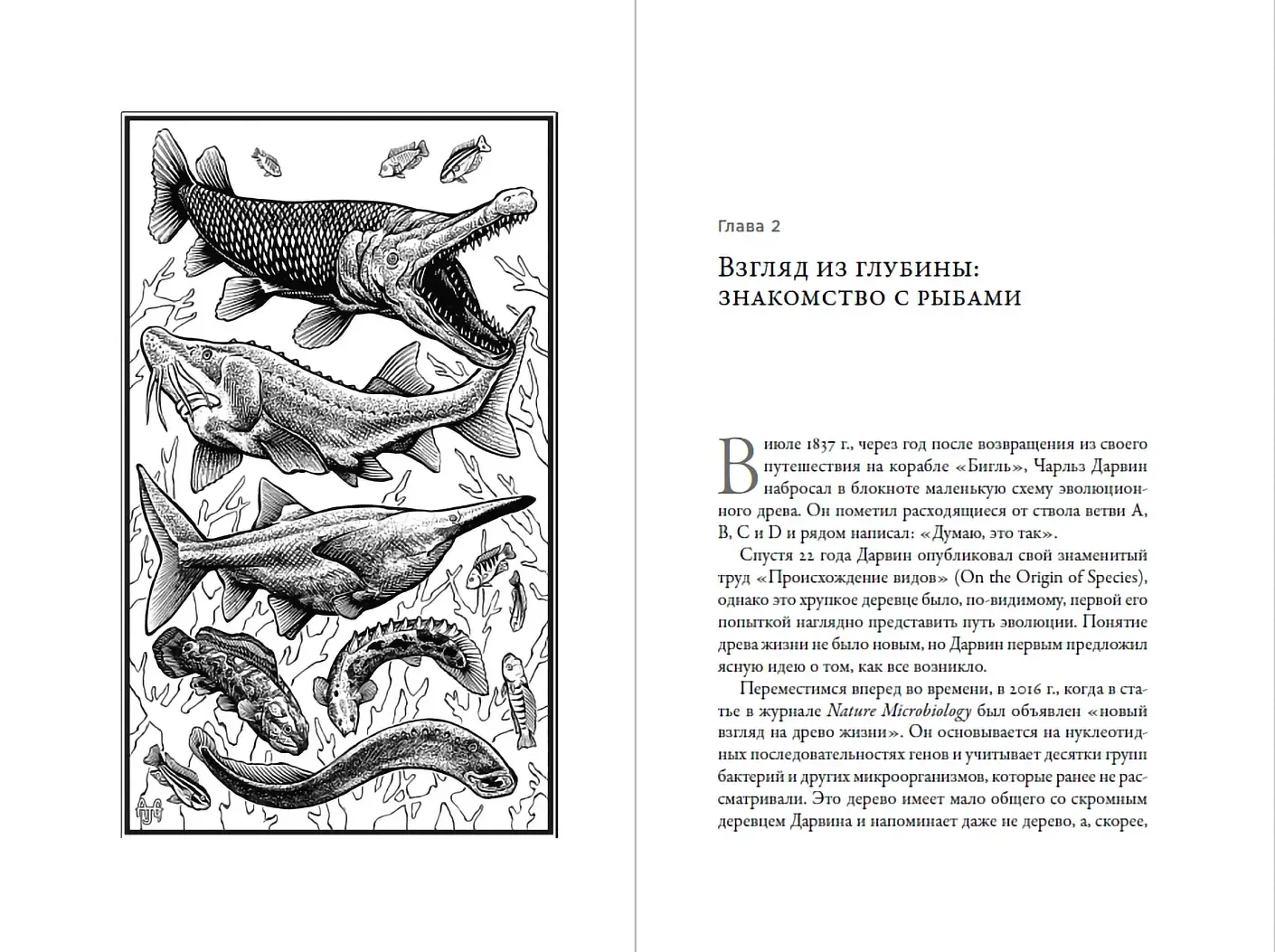 О чем молчат рыбы. Путеводитель по жизни морских обитателей фото книги 5