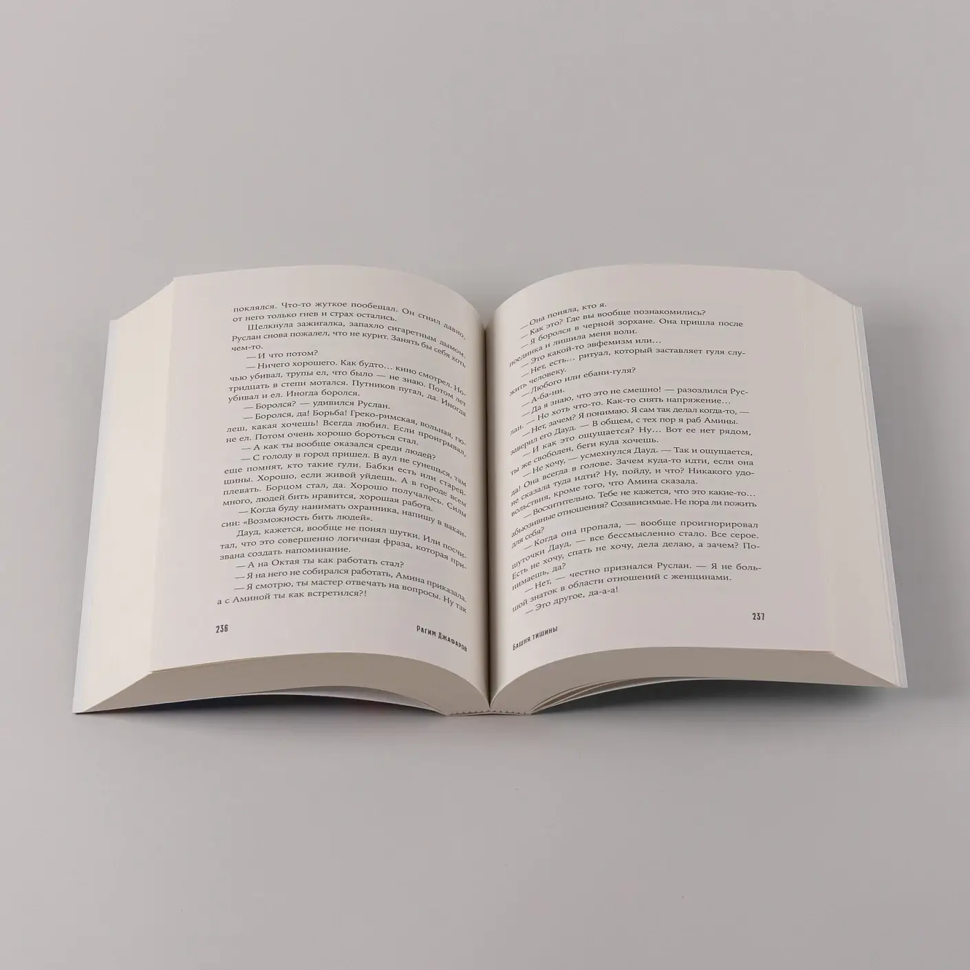 Башня тишины фото книги 5