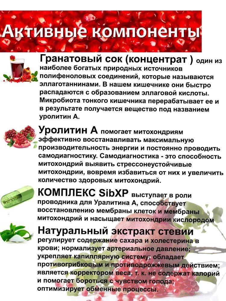 TAYGA8 T8 ERA MIT UP Sea Collagen with Vitamin C and Urolithin A – 210 ml Jelly Sachets #5