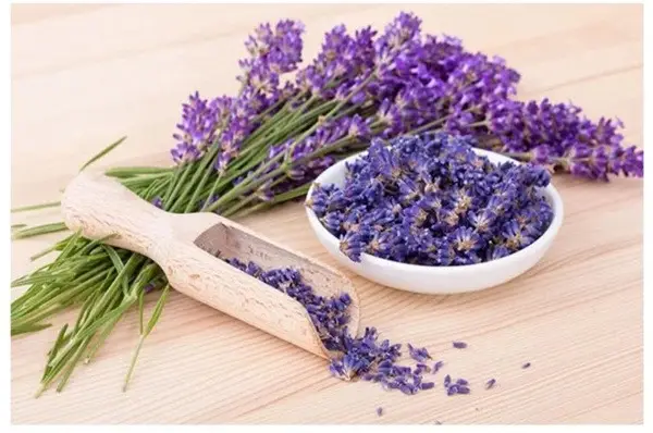 Dried Lavender Flowers