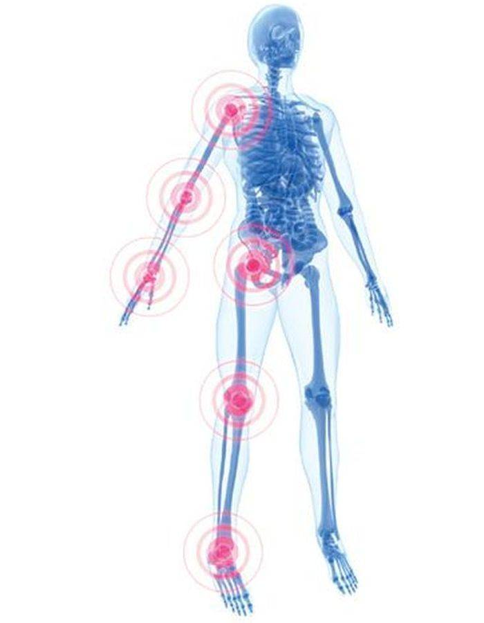 FMD Silicon Dietary Supplement for Bones and Joints – 180 Capsules, Made in Canada #2