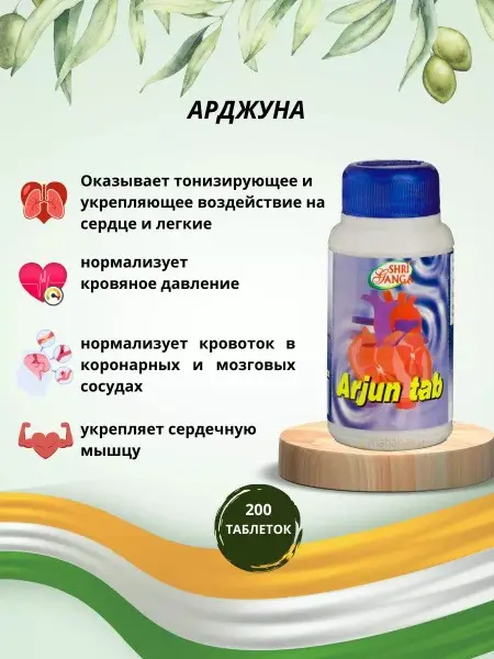 Arjuna: The Warrior Prince