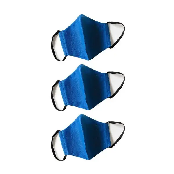 3-Ply Disposable Face Masks (3 Pack)