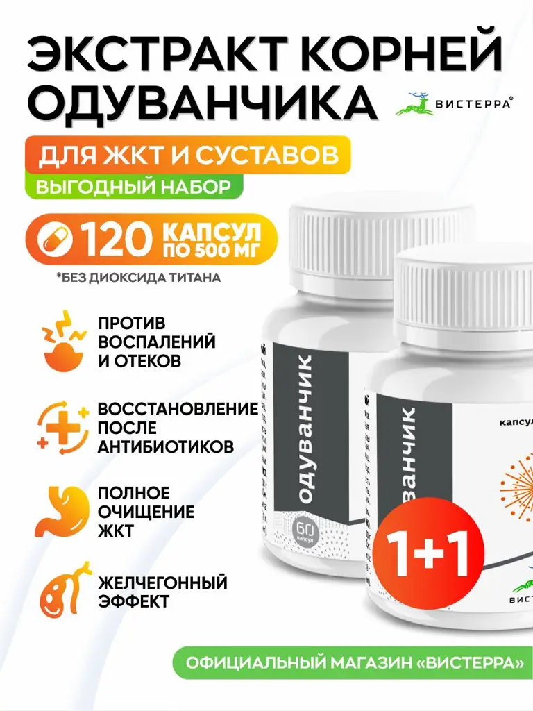 Visterra Taraxacum Root Extract Natural Dietary Supplement Capsules 120 Count #1