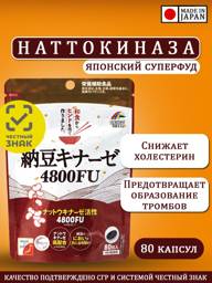 Nattokinase 4800FU Capsules — 80 count (20 day supply) #1