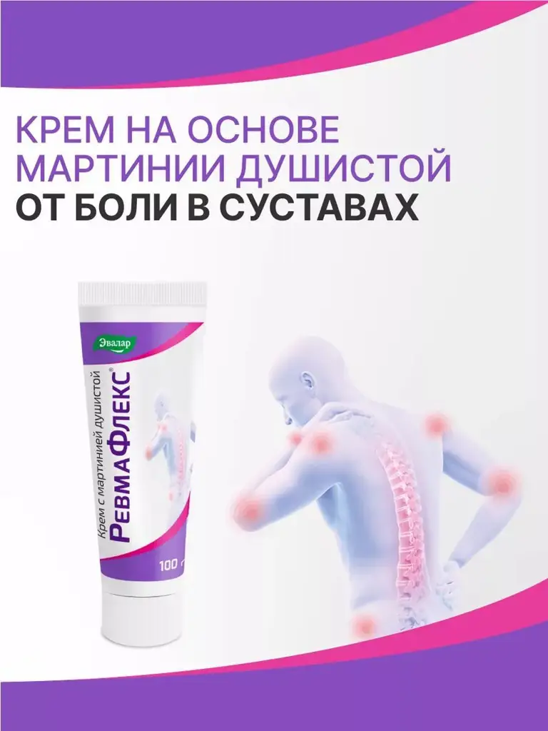 Evalar Revmaflex Cream 100 g Joint and Back Support #1