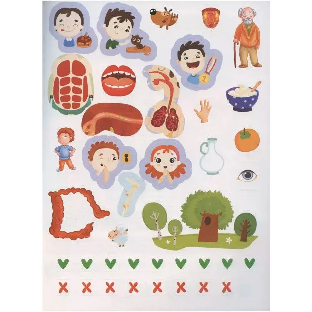 Анатомия фото книги 3