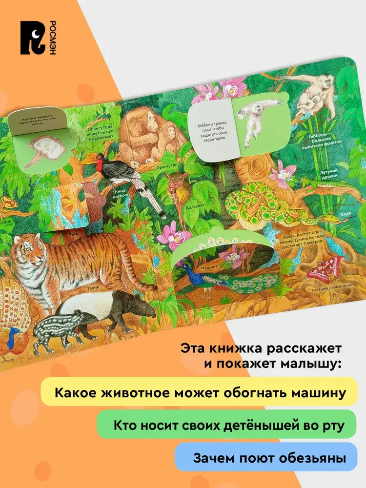 Удивительные животные. Энциклопедия с окошками фото книги 4
