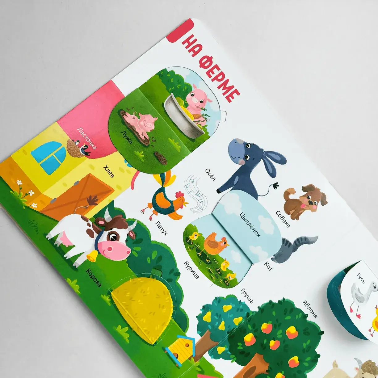 150 первых слов. Животные фото книги 2