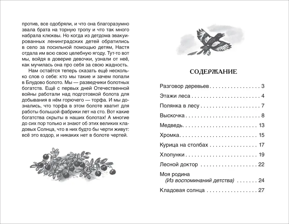 Кладовая солнца фото книги 3