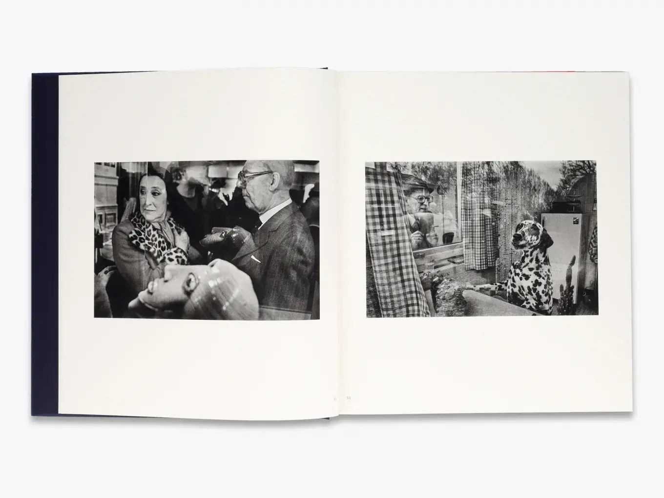 Harry Gruyaert: homeland фото книги 5