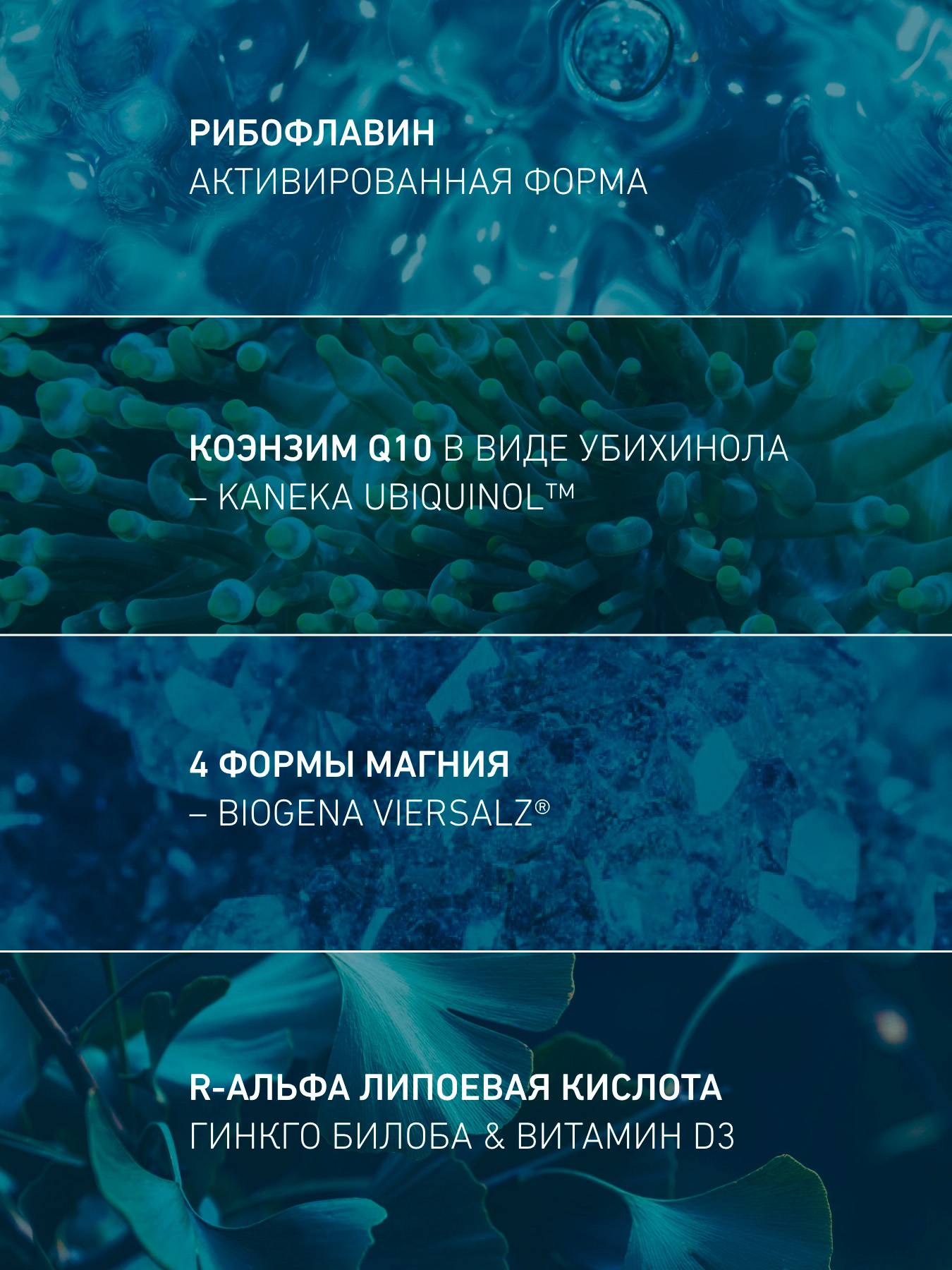 BIOGENA M-Formula Mitochondrial Support Capsules - 884 mg, 90 Count #4