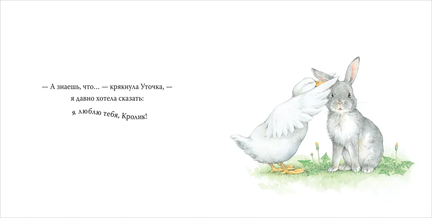 Я давно хотел сказать... фото книги 4