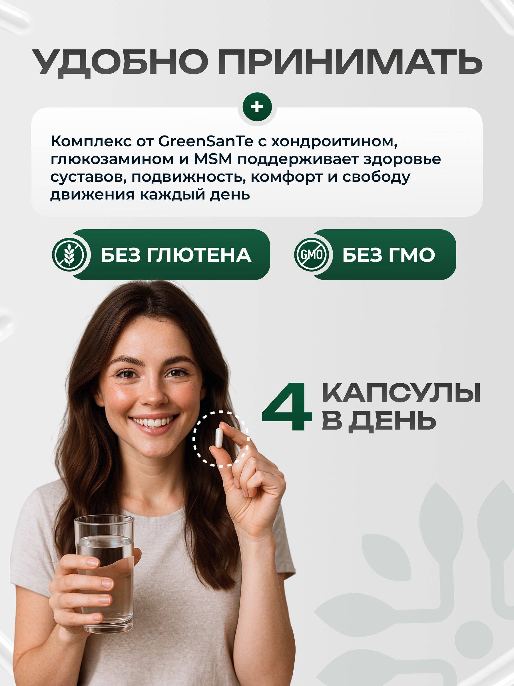 Glucosamine Chondroitin MSM by GreenSanTe #3