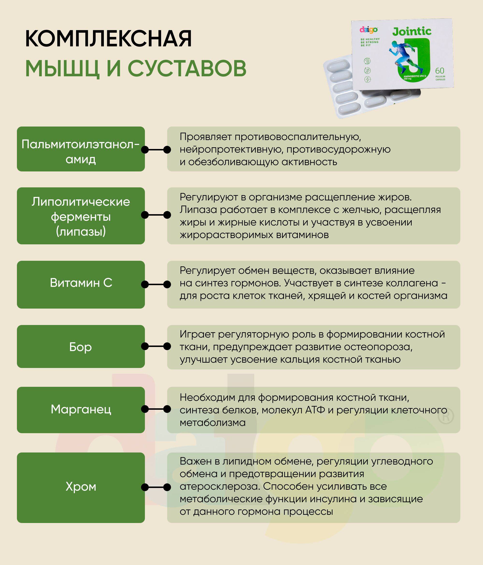 Daigo Jointic Bone and Joint Supplement with Chlorella Peptide and Amino Acids - 60 Capsules #2