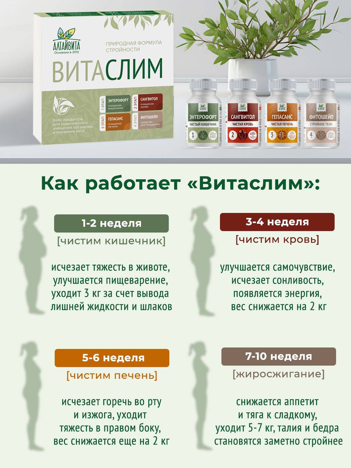Altaivita Vitaslim Kit for Cleansing and Figure Correction + 4 Jars Fitoshape — 9 Count, Capsules and Syrup #9