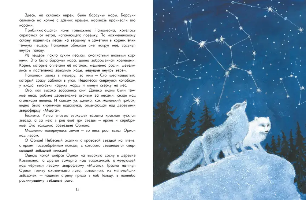 Недопёсок фото книги 5