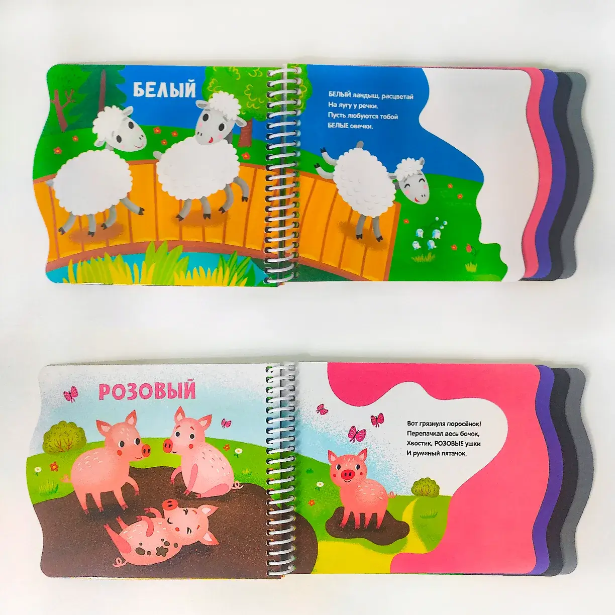 Первые шаги. Цвета фото книги 4