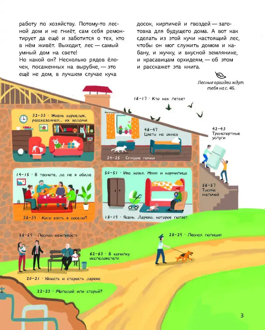 Лес. Самый умный дом на свете фото книги 3