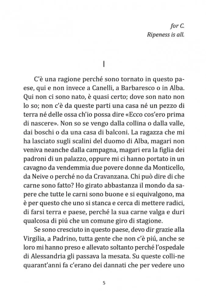 La luna e i falo. La bella estate / Луна и костры. Прекрасное лето фото книги 6