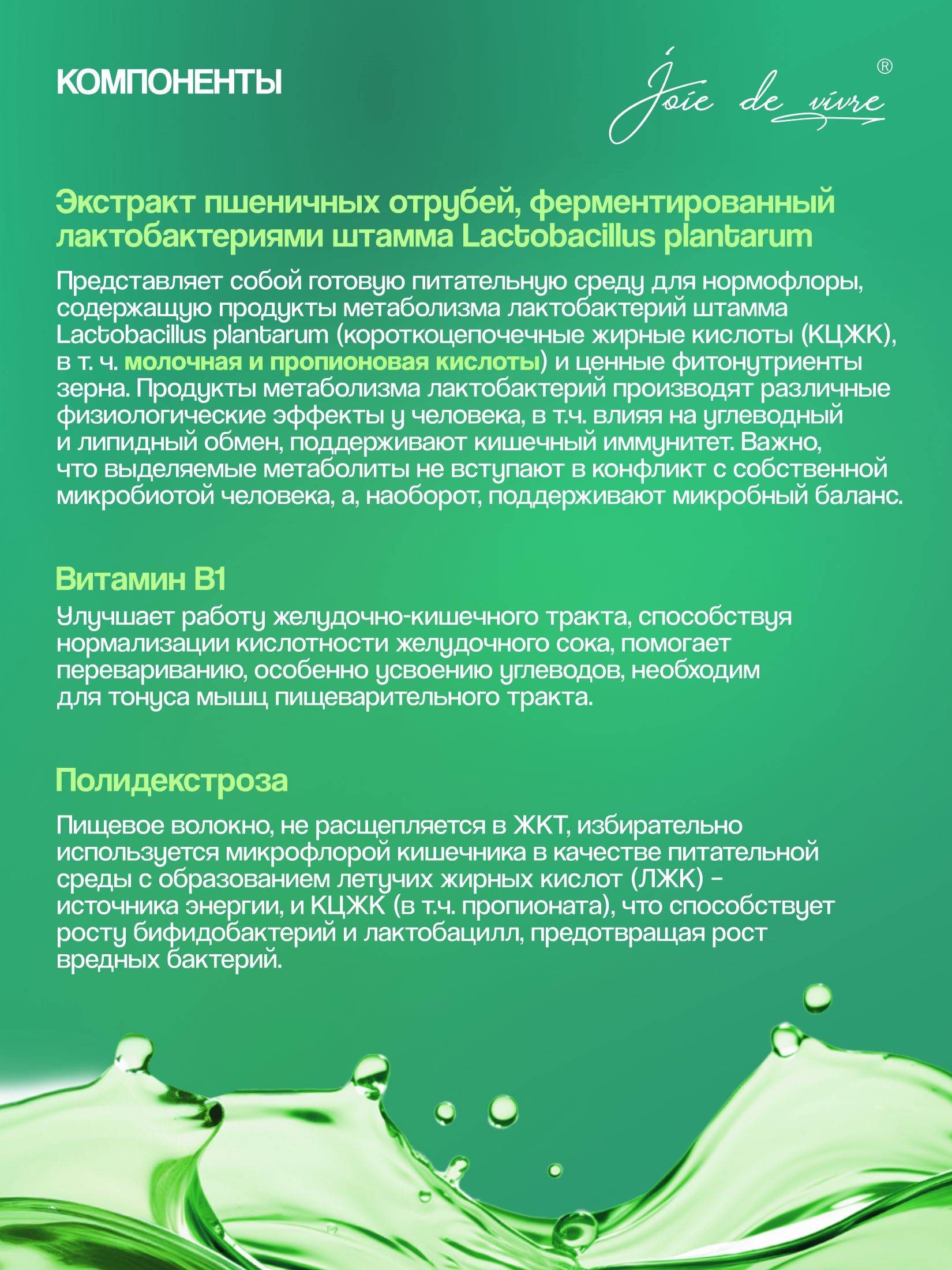 Joie de vivre Metabiotic Dietary Supplement for Gut Health with Prebiotics, Probiotics, Synbiotic, Detox Support for Liver and Digestion – 10000 ml #2
