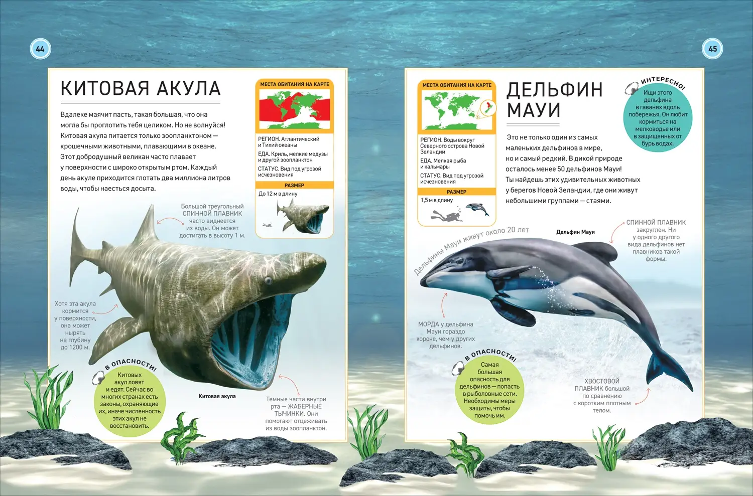 Подводный мир. Полная энциклопедия фото книги 3