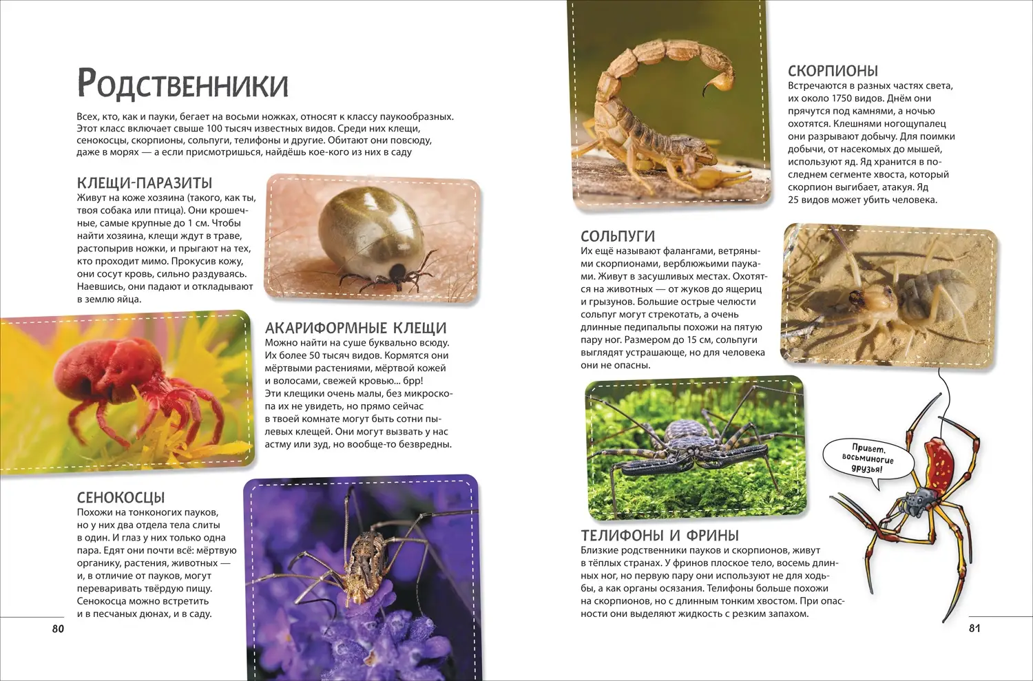 Невероятные насекомые. Иллюстрированная энциклопедия фото книги 4