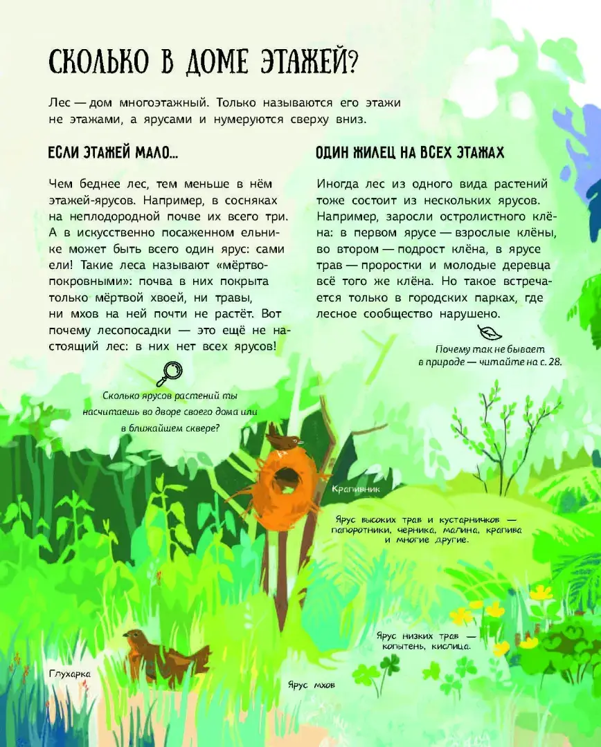 Лес. Самый умный дом на свете фото книги 4