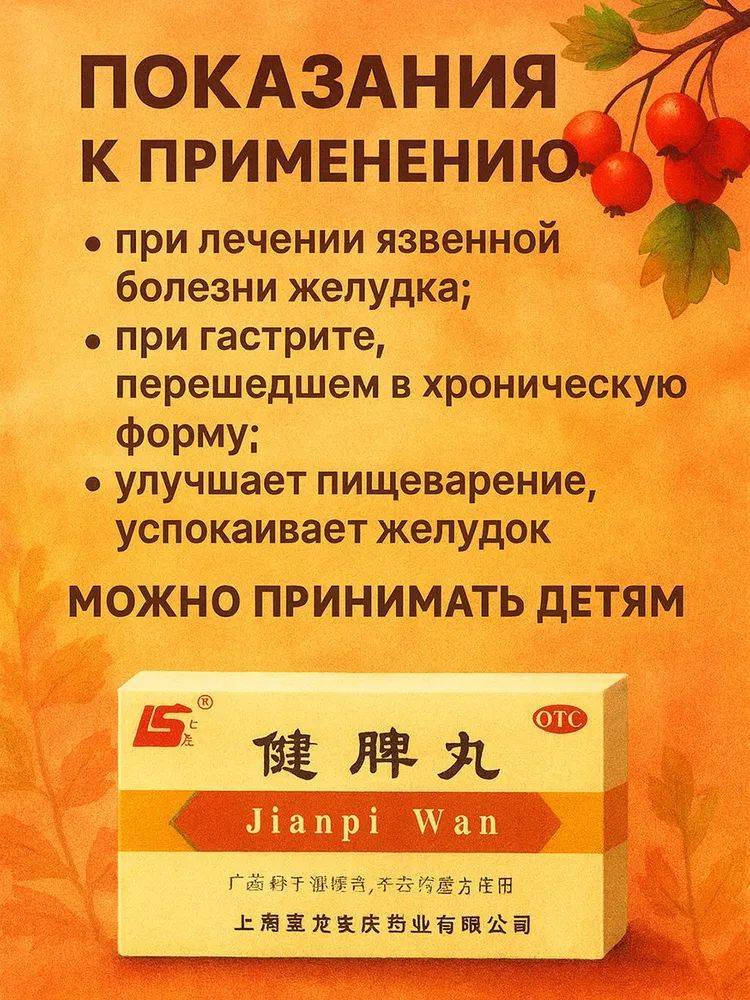 Jian Pi Wan, 200 capsules, Traditional Chinese wellness formula for gastrointestinal support #2