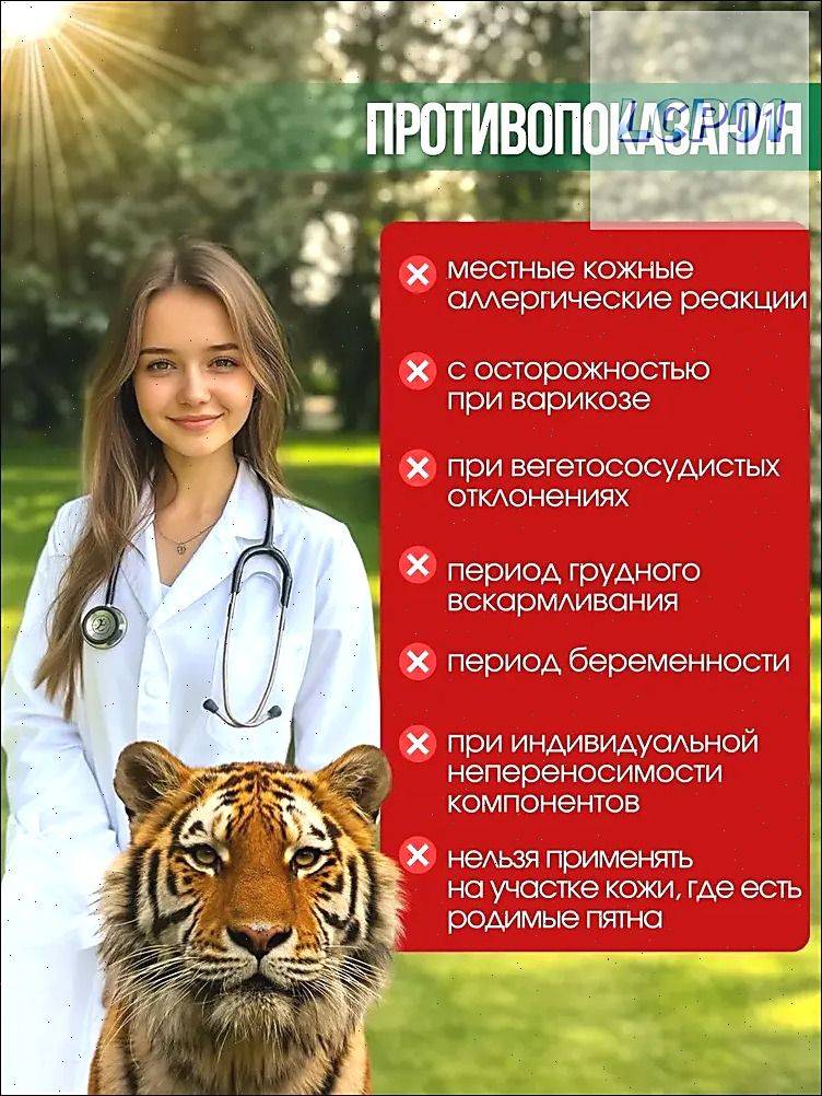 KATTAMI Tiger Pain Relief Plaster - 12 Pack for Back and Joint Pain #2