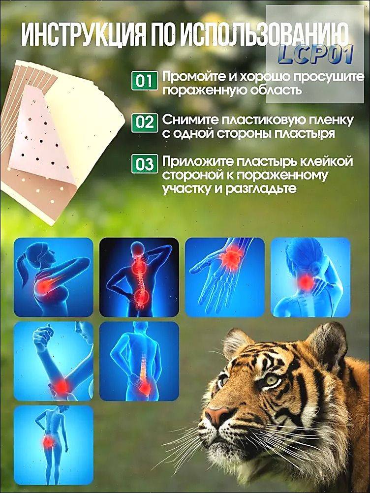 KATTAMI Tiger Pain Relief Plaster - 12 Pack for Back and Joint Pain #3