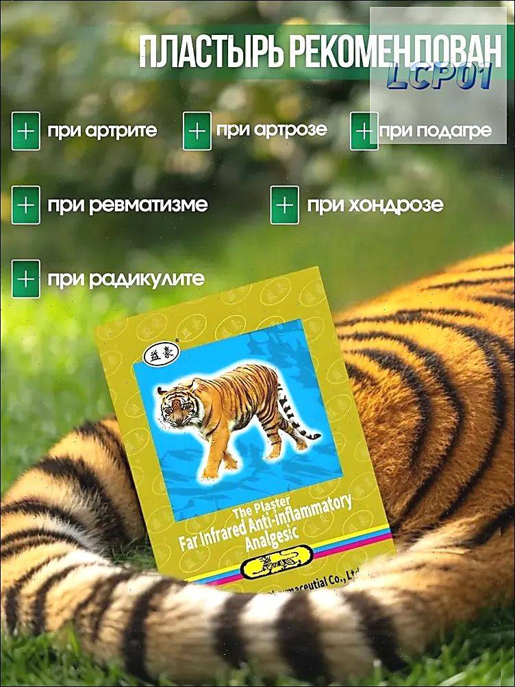 KATTAMI Tiger Pain Relief Plaster - 12 Pack for Back and Joint Pain #4