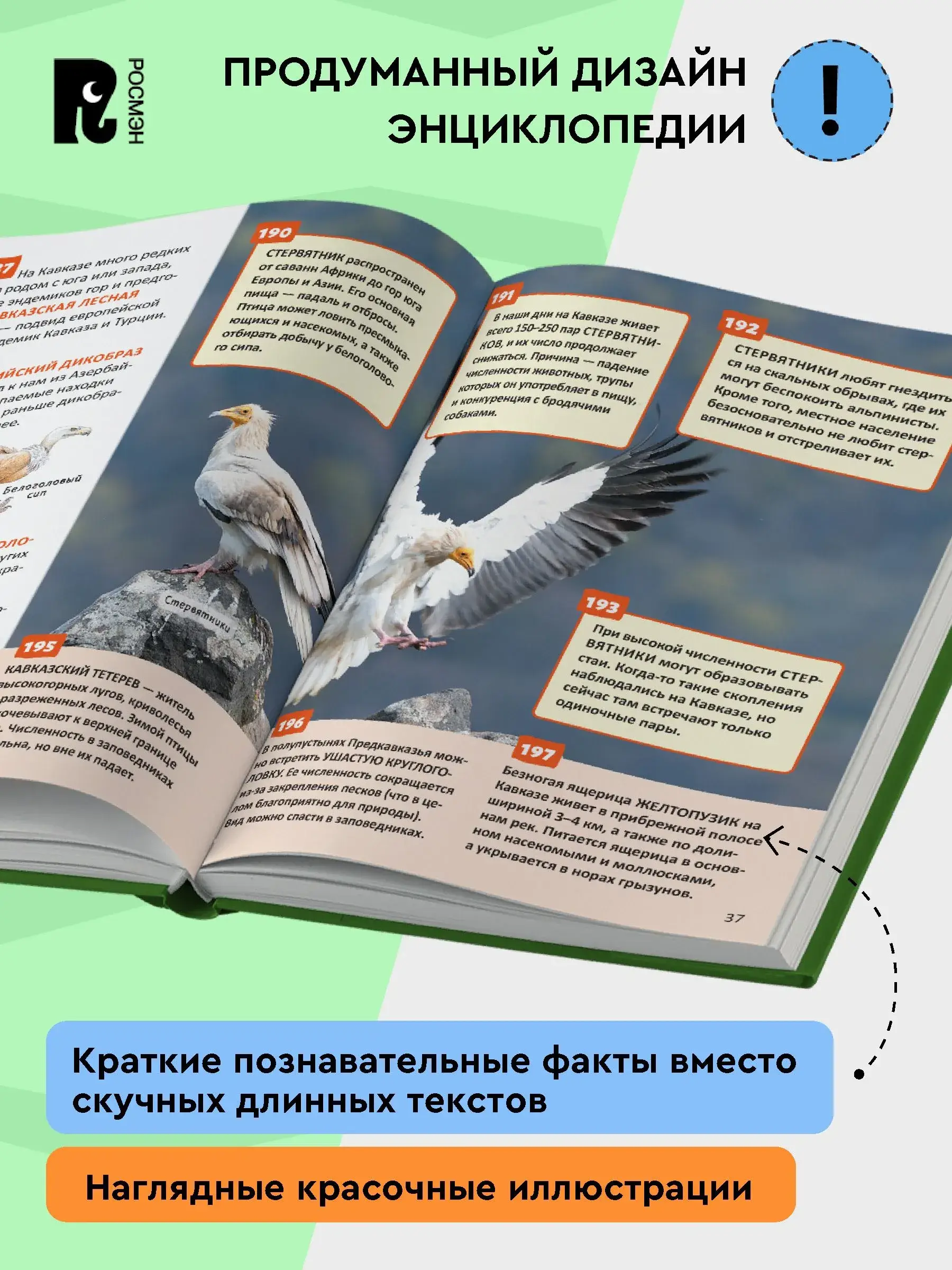 Красная книга России. Энциклопедия российского школьника фото книги 3